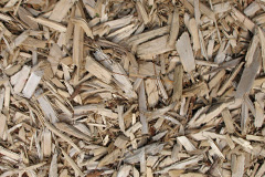 biomass boilers Llaniestyn