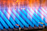 Llaniestyn gas fired boilers